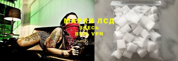 дмт Пионерский