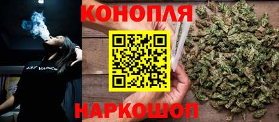 гашик Можга